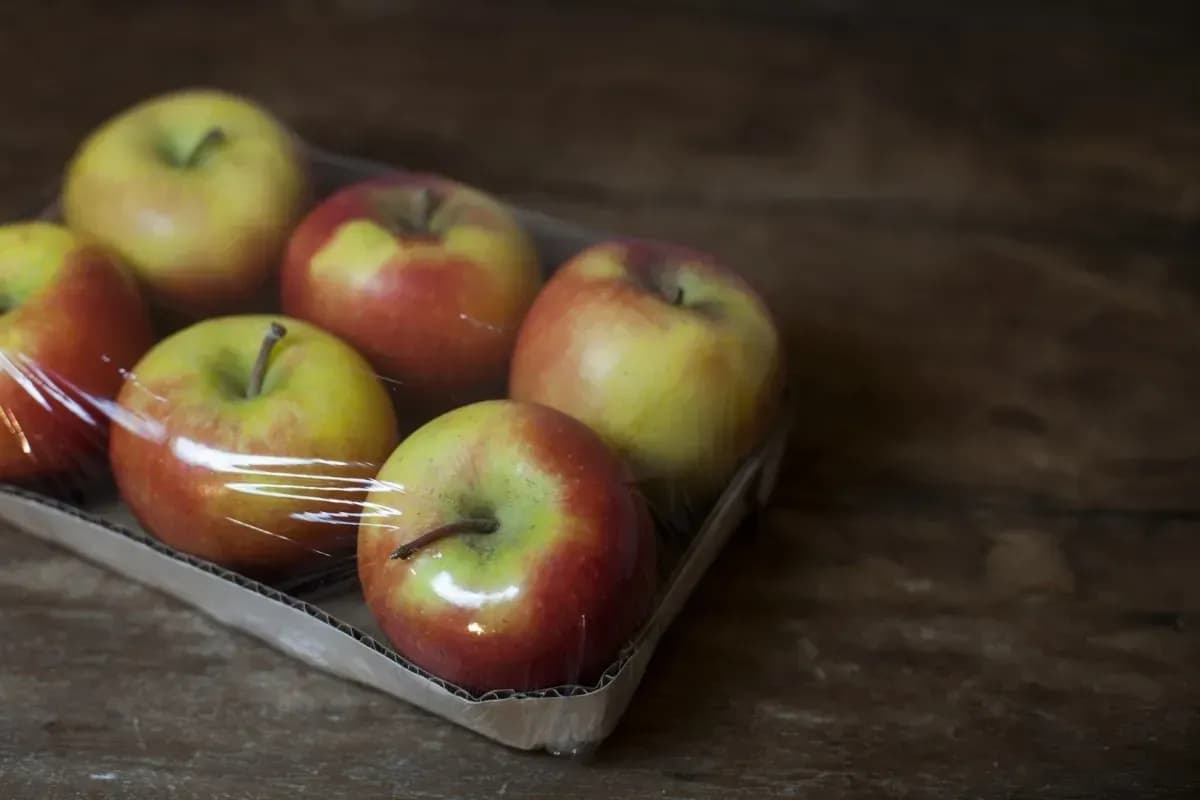 LDPE-Folien Lieferant für Verpackungsbetriebe in Deutschland